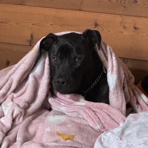 Fundraising Page: Crystal Lynn Snyder